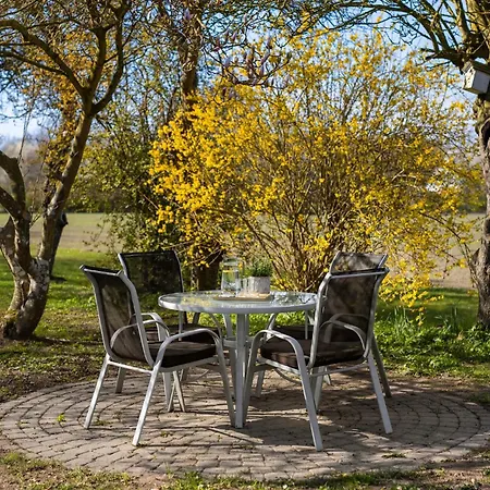 Beautiful In With Wifi Holiday home